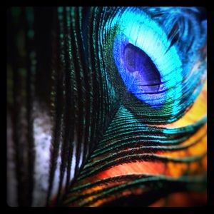 Meet your Posher, Azaria